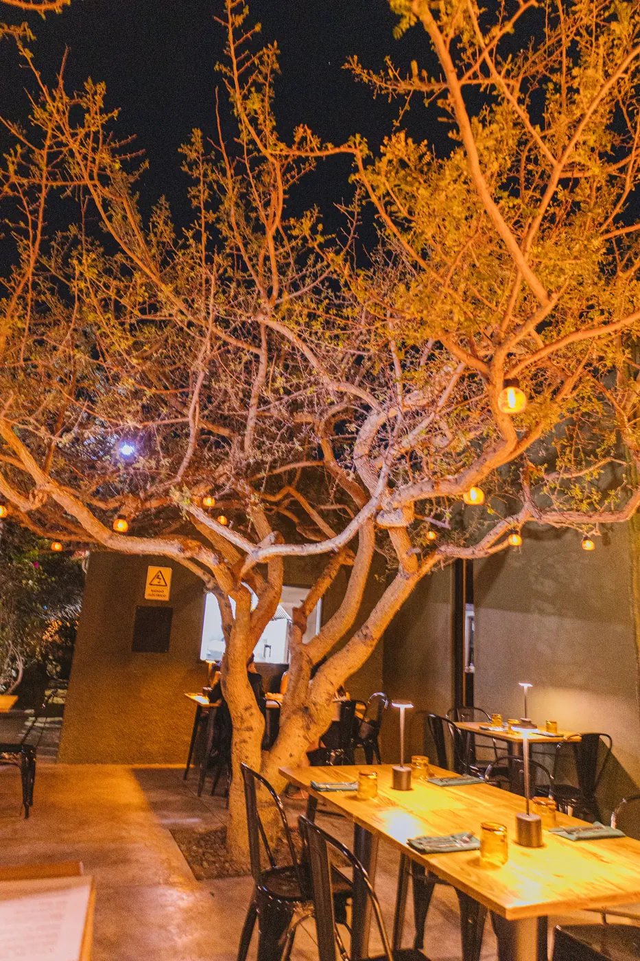 Patio iluminado de N-16